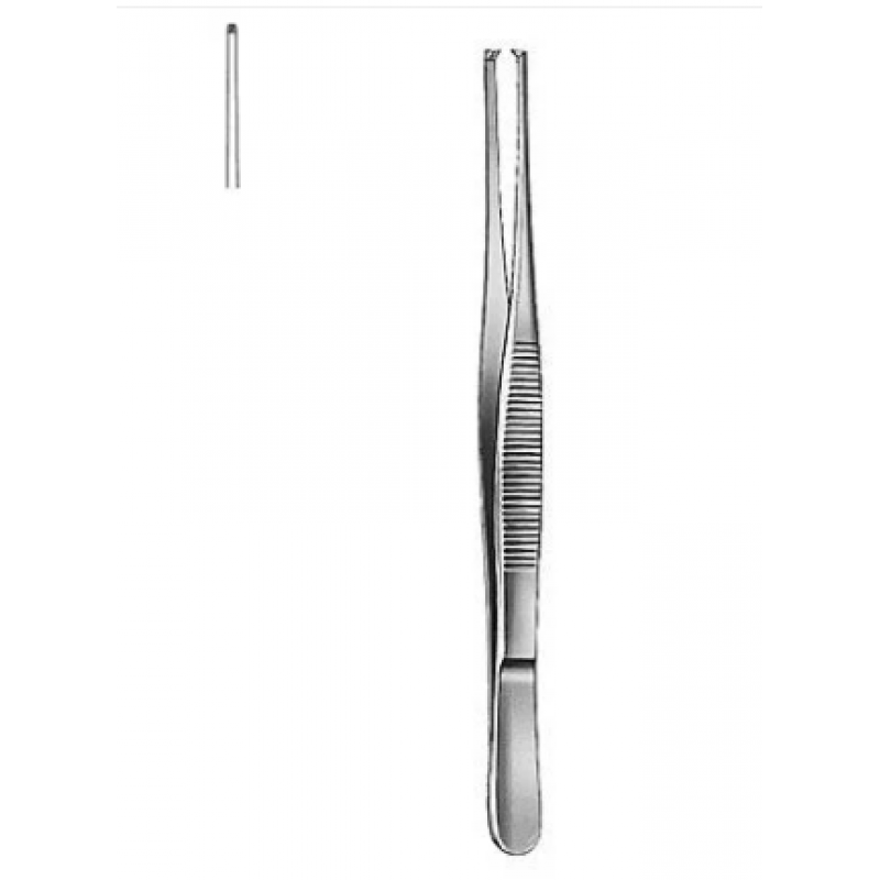 Buy Dissecting Forceps Toothed Get Price For Lab Equipment 